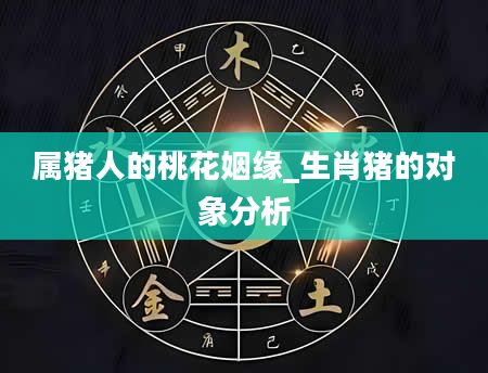 属猪人的桃花姻缘_生肖猪的对象分析