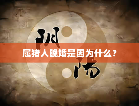 属猪人晚婚是因为什么？