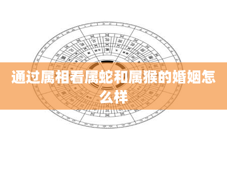 通过属相看属蛇和属猴的婚姻怎么样