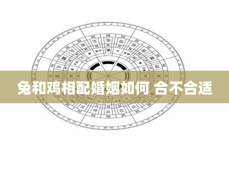 兔和鸡相配婚姻如何 合不合适