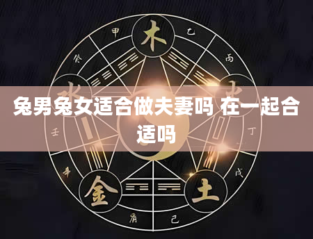 兔男兔女适合做夫妻吗 在一起合适吗