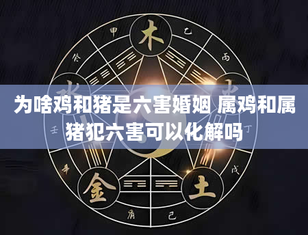 为啥鸡和猪是六害婚姻 属鸡和属猪犯六害可以化解吗