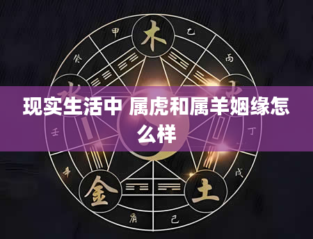 现实生活中 属虎和属羊姻缘怎么样