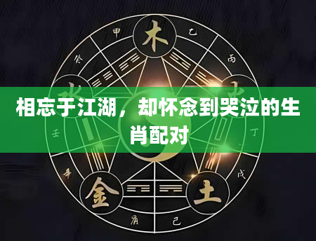 相忘于江湖，却怀念到哭泣的生肖配对