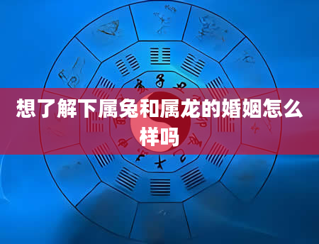 想了解下属兔和属龙的婚姻怎么样吗