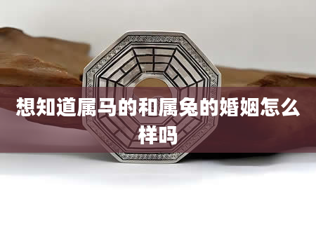 想知道属马的和属兔的婚姻怎么样吗