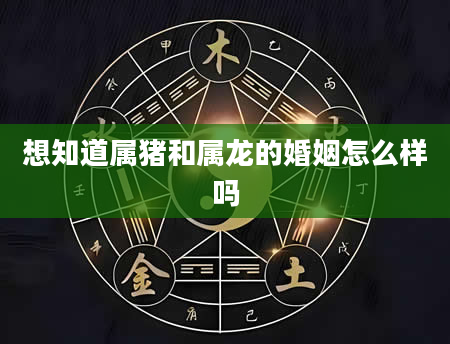 想知道属猪和属龙的婚姻怎么样吗