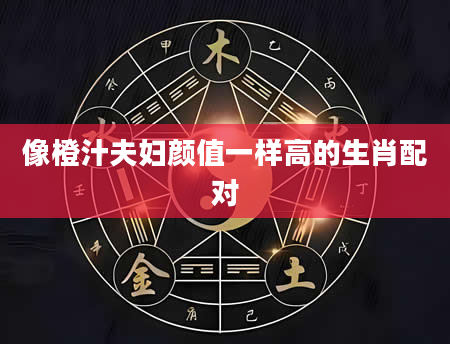 像橙汁夫妇颜值一样高的生肖配对