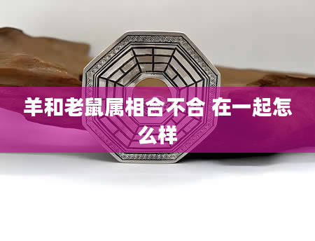 羊和老鼠属相合不合 在一起怎么样