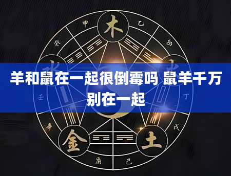 羊和鼠在一起很倒霉吗 鼠羊千万别在一起