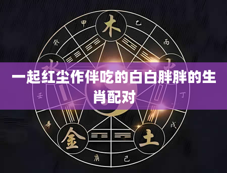 一起红尘作伴吃的白白胖胖的生肖配对