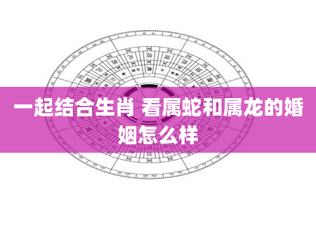 一起结合生肖 看属蛇和属龙的婚姻怎么样
