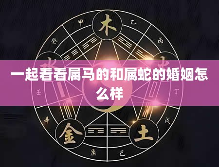 一起看看属马的和属蛇的婚姻怎么样