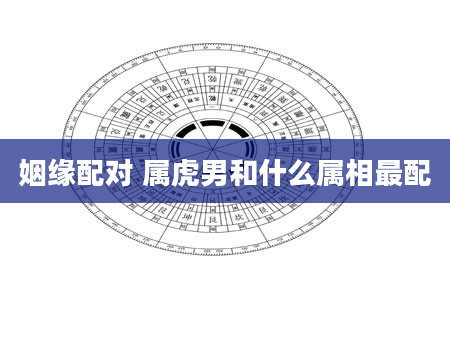 姻缘配对 属虎男和什么属相最配