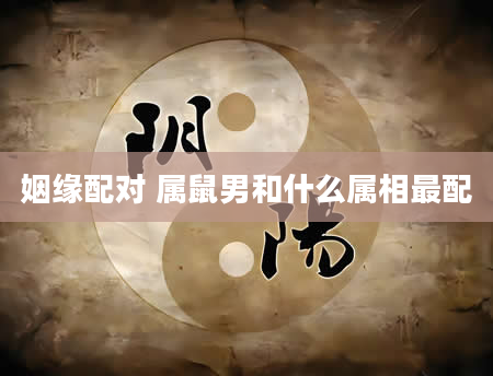 姻缘配对 属鼠男和什么属相最配