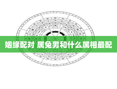 姻缘配对 属兔男和什么属相最配