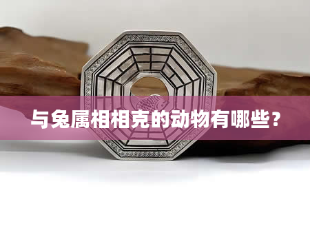 与兔属相相克的动物有哪些？