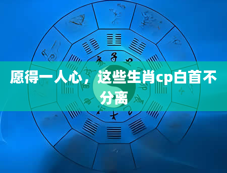 愿得一人心，这些生肖cp白首不分离