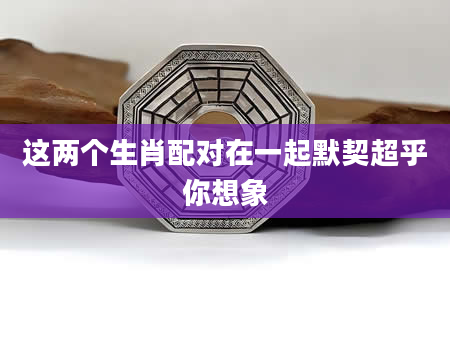 这两个生肖配对在一起默契超乎你想象