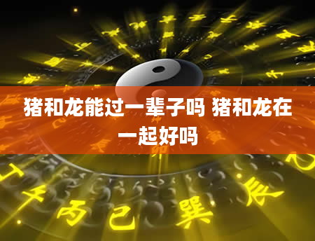猪和龙能过一辈子吗 猪和龙在一起好吗