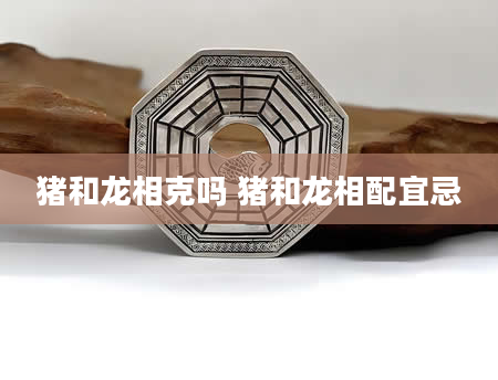 猪和龙相克吗 猪和龙相配宜忌
