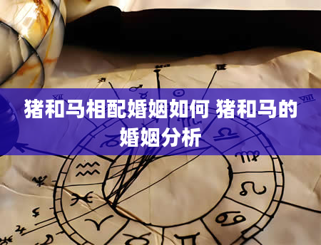 猪和马相配婚姻如何 猪和马的婚姻分析