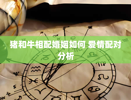 猪和牛相配婚姻如何 爱情配对分析