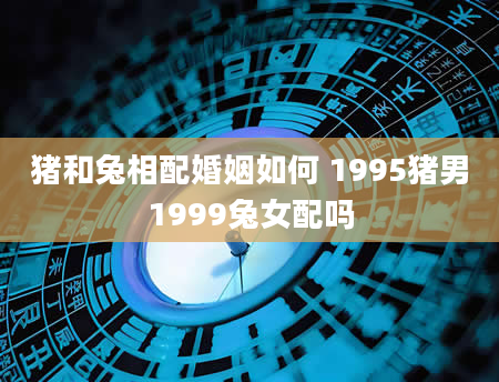 猪和兔相配婚姻如何 1995猪男1999兔女配吗