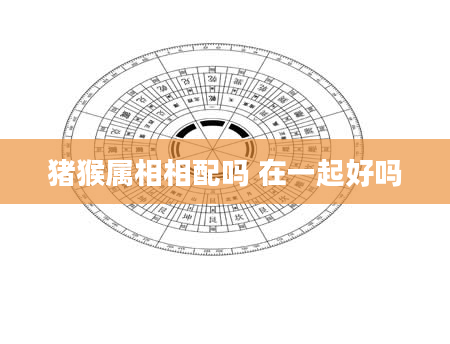 猪猴属相相配吗 在一起好吗
