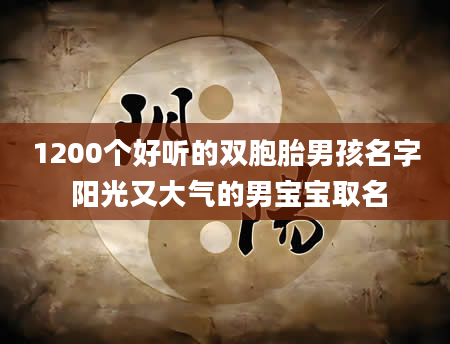 1200个好听的双胞胎男孩名字 阳光又大气的男宝宝取名