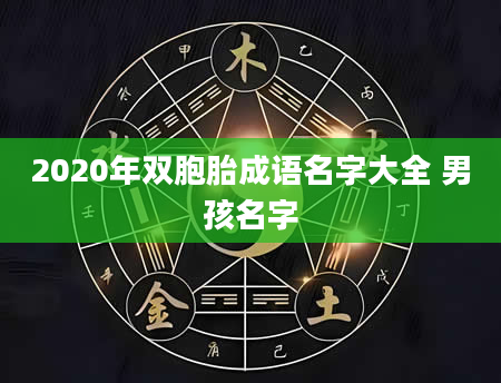 2020年双胞胎成语名字大全 男孩名字