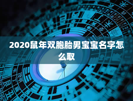2020鼠年双胞胎男宝宝名字怎么取