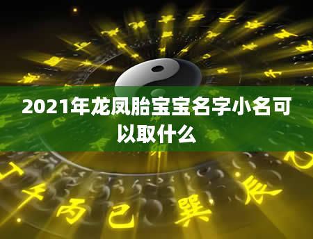 2021年龙凤胎宝宝名字小名可以取什么