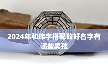 2024年和玮字搭配的好名字有哪些男孩