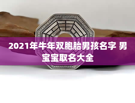 2021年牛年双胞胎男孩名字 男宝宝取名大全