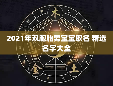 2021年双胞胎男宝宝取名 精选名字大全