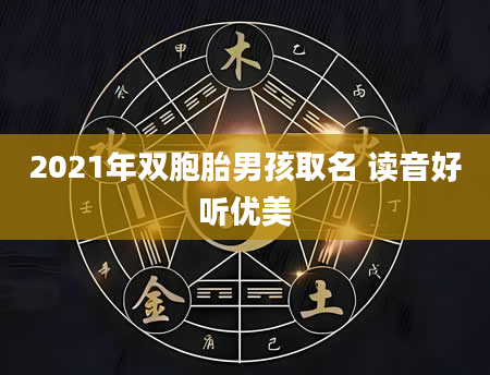 2021年双胞胎男孩取名 读音好听优美