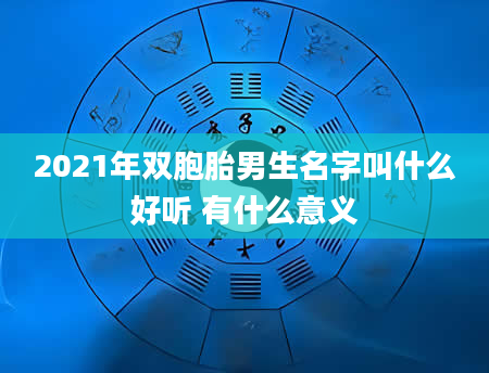 2021年双胞胎男生名字叫什么好听 有什么意义