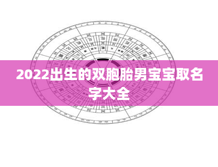 2022出生的双胞胎男宝宝取名字大全