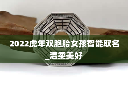 2022虎年双胞胎女孩智能取名_温柔美好