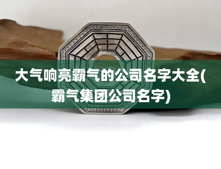 大气响亮霸气的公司名字大全(霸气集团公司名字)
