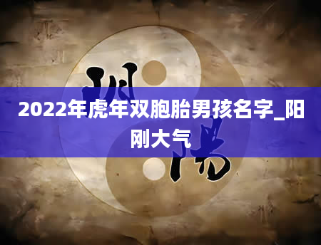 2022年虎年双胞胎男孩名字_阳刚大气