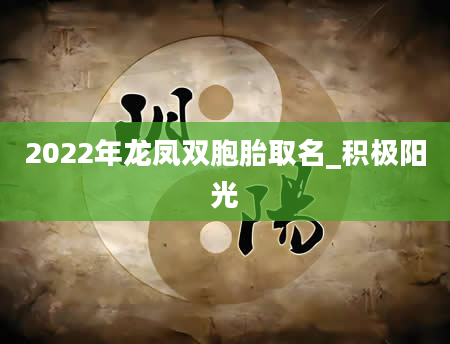 2022年龙凤双胞胎取名_积极阳光