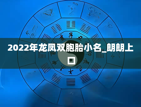 2022年龙凤双胞胎小名_朗朗上口