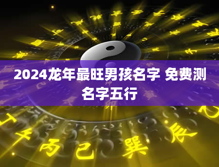 2024龙年最旺男孩名字 免费测名字五行