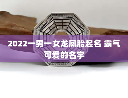 2022一男一女龙凤胎起名 霸气可爱的名字