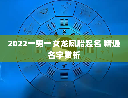 2022一男一女龙凤胎起名 精选名字赏析