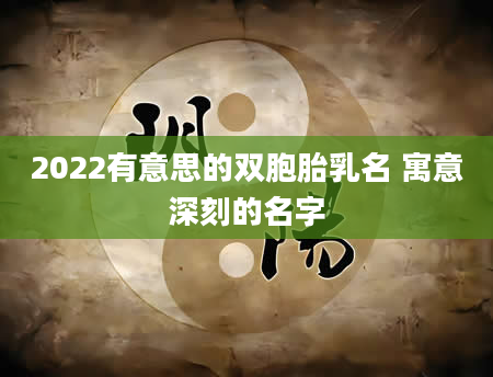 2022有意思的双胞胎乳名 寓意深刻的名字