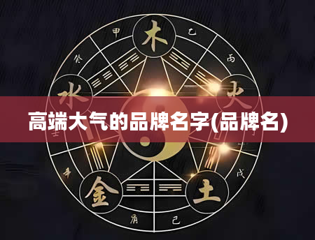 高端大气的品牌名字(品牌名)