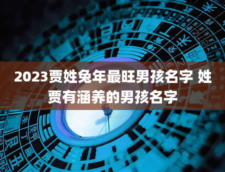 2023贾姓兔年最旺男孩名字 姓贾有涵养的男孩名字